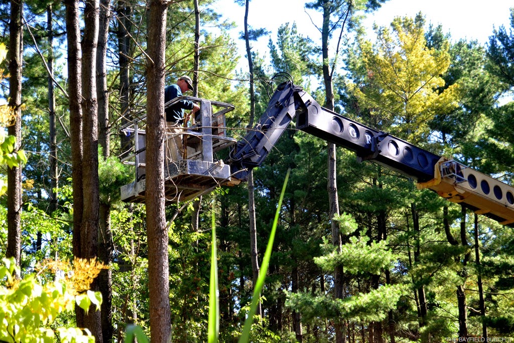 [DSC_0003%255B9%255D.jpg]