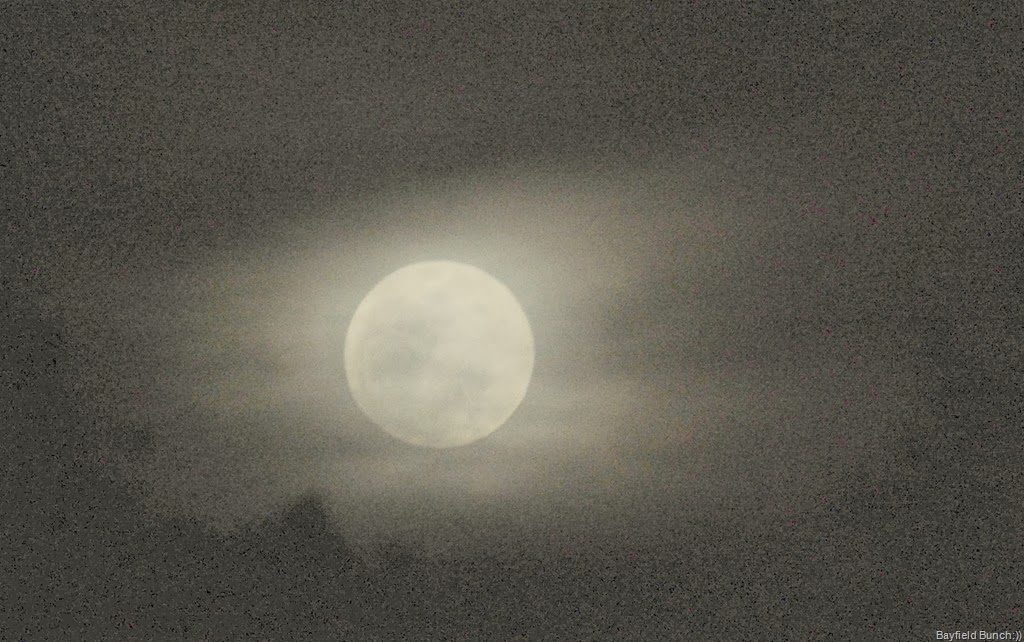 [DSC_0883%255B4%255D.jpg]