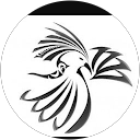 Image Google de Chris prols