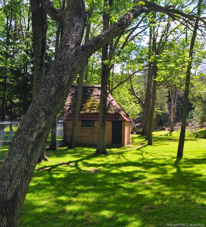 [DSC_0027%255B3%255D.jpg]