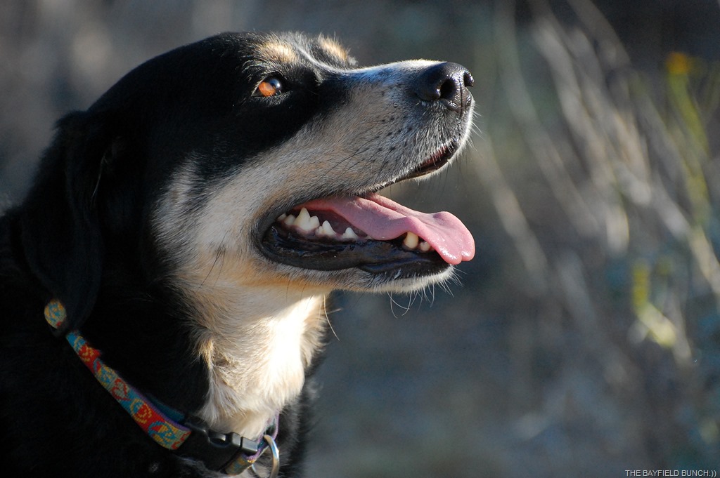 [DSC_9031%255B4%255D.jpg]