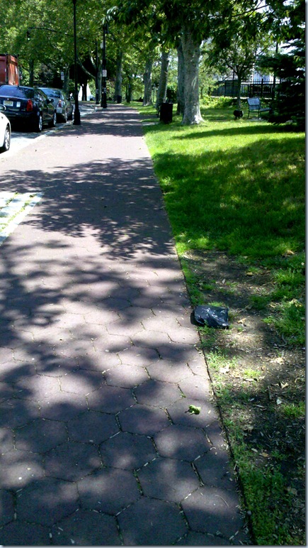 Sunny  Sidewalks_11-33-20_522