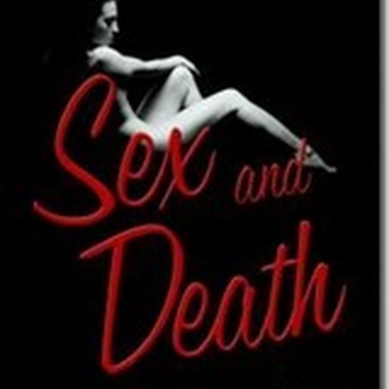 Orangeberry Book Of The Day - Sex and Death in the America Novel - Sarah Martinez