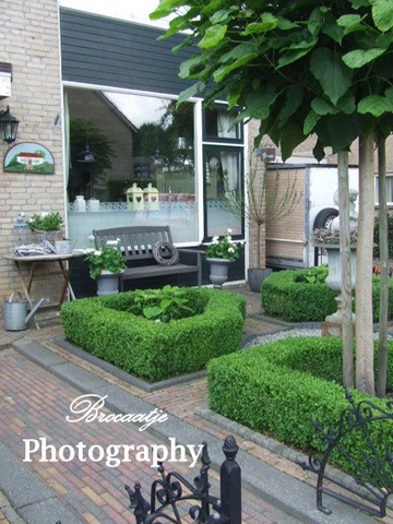 [20110807_1%255B5%255D.jpg]