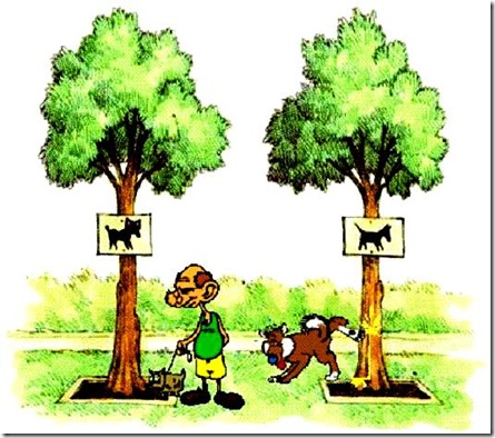 Me-dog & BHO-Tree
