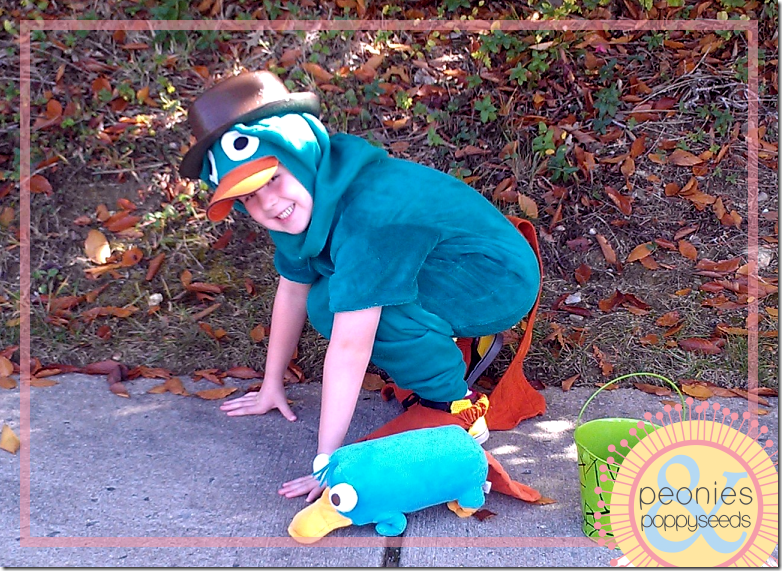 DIY Perry the Platypus Halloween costume