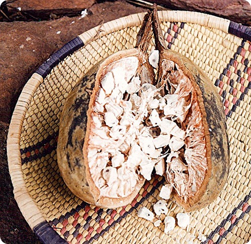 cucina senegalese Baobab_seeds