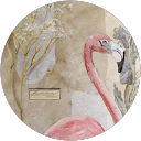 Image Google de delphine leviste