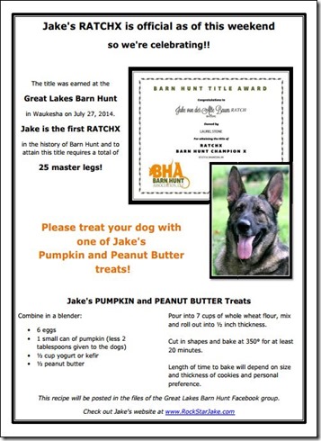 Jakes Peanut Butter and Pumpkin Treats