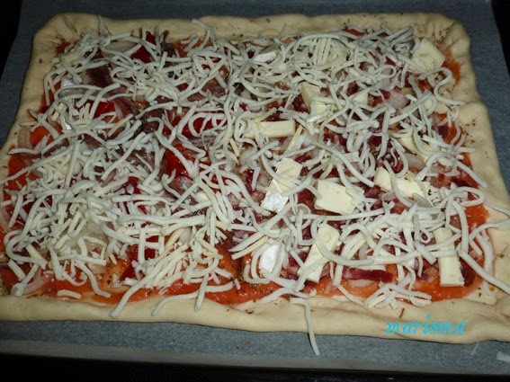 [pizza-dos-gustos-brie-y-anchoas3-cop%255B2%255D.jpg]