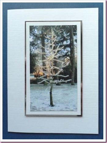 Christmas Tree Photo Card
