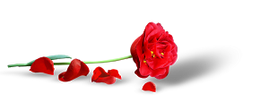 0_c3ff8_1db386a1_XL%5B1%5D.png