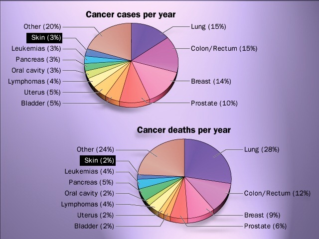 [Cancer%2520cases%2520%2526%2520death%2520per%2520year--skin%255B2%255D.jpg]