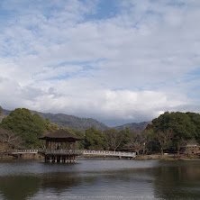 二月堂,修仁会(KS2_0491,18 mm,f-8)2015yaotomi_.jpg