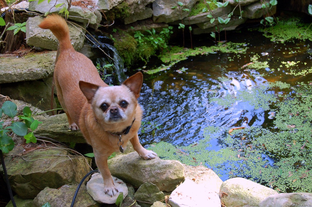 [DSC_0005-2%255B3%255D.jpg]