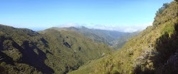 Levada do Alecrim, één van de mooiste op de hoogvlakte van Madeira