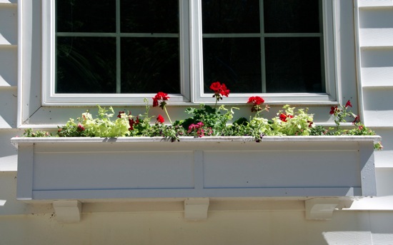 Windowbox2012 4
