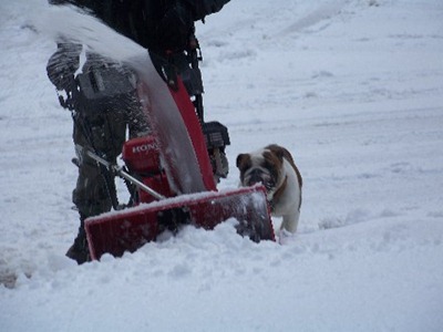 Cujo and Dad - Snowblowing Driveway4
