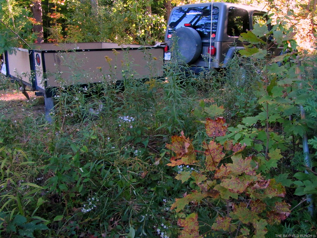 [IMG_0253%255B4%255D.jpg]