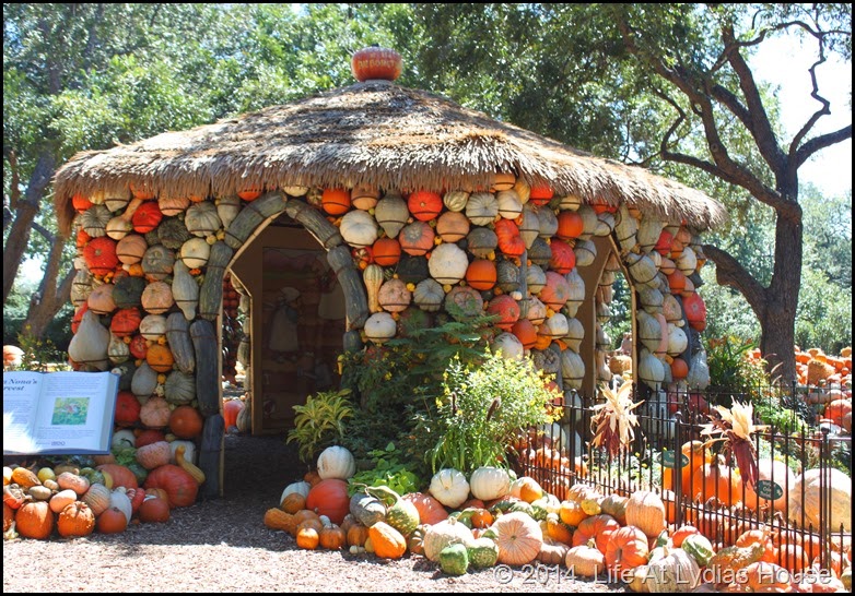 Dallas Arboretum - pumpkin festival-pumpkin house 1