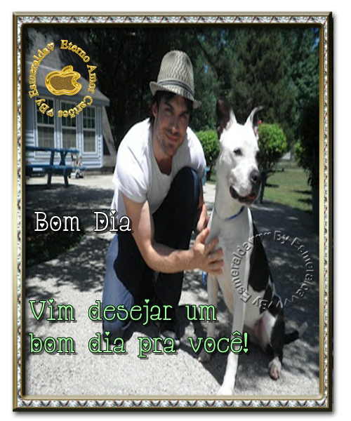 bdi.png