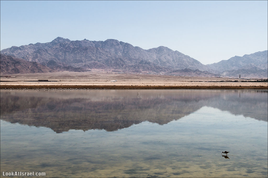 LookAtIsrael.com - Фото путешествия по Израилю | Отражения Эйлата