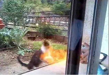 [image%255B2%255D.png]