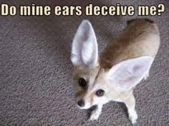 ears deceive