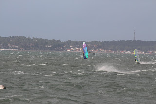 IMG_4511.JPG