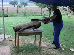Burgenland 2012 - 087