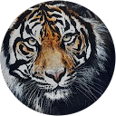 خياطة �. �. k.