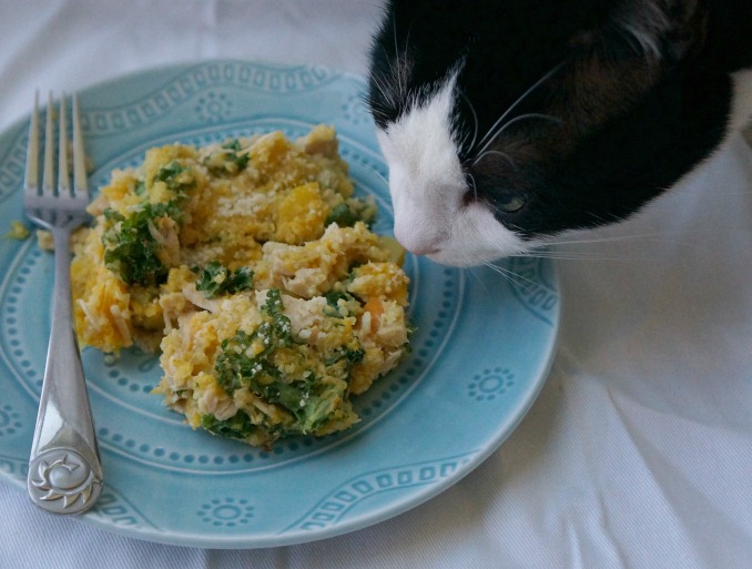 [Kitty-eats-my-food6.jpg]