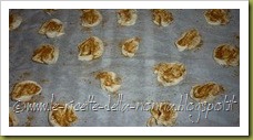 Ventaglietti di pastasfoglia caramellati (7)_thumb[2]