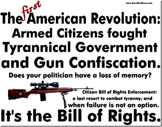 1st American Rev - Gun Rights