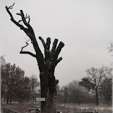 Winterliche Impressionen 2012