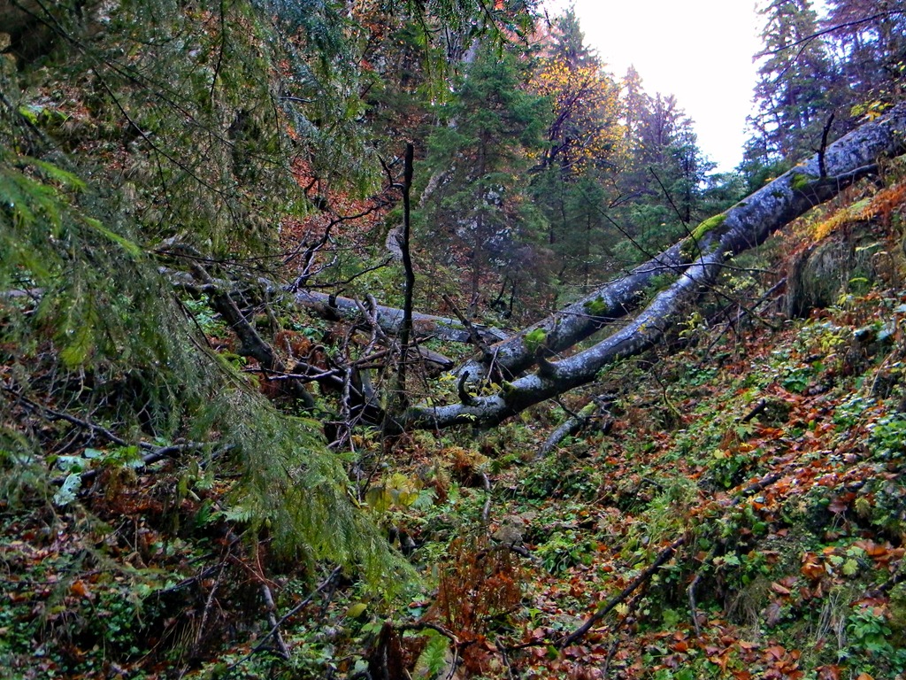[DSCN98013.jpg]