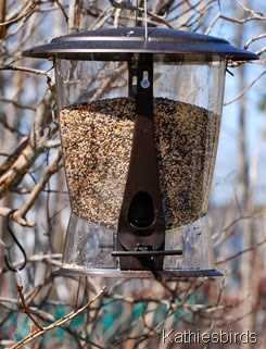 5. full bird feeder