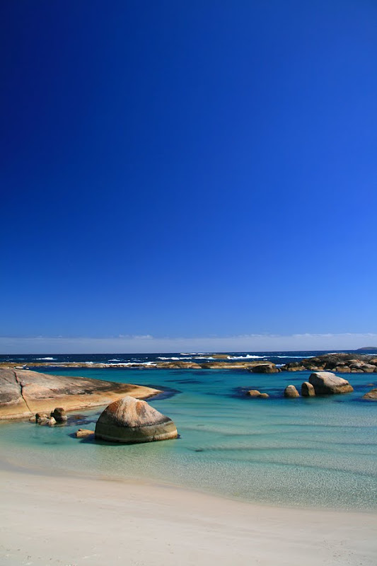 Elephant rocks beach australia