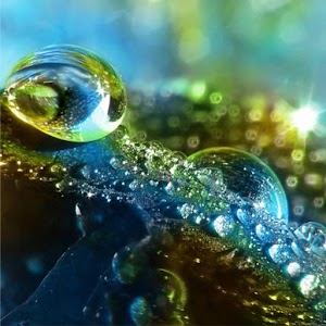 Macro Wallpapers.apk 1.0.0