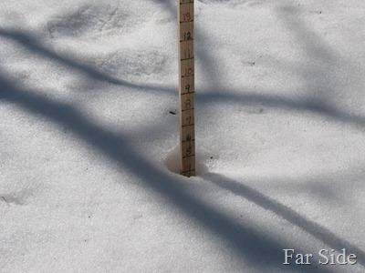 Snow stick March 10