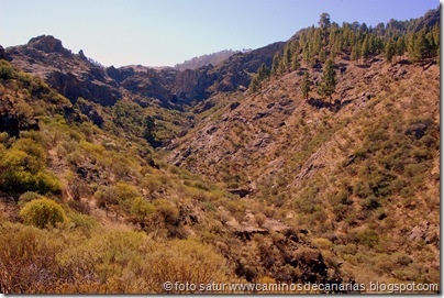 3603 Juncal-Roque Cofre 3603 Juncal-Roque Cofre