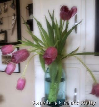 new tulips 013