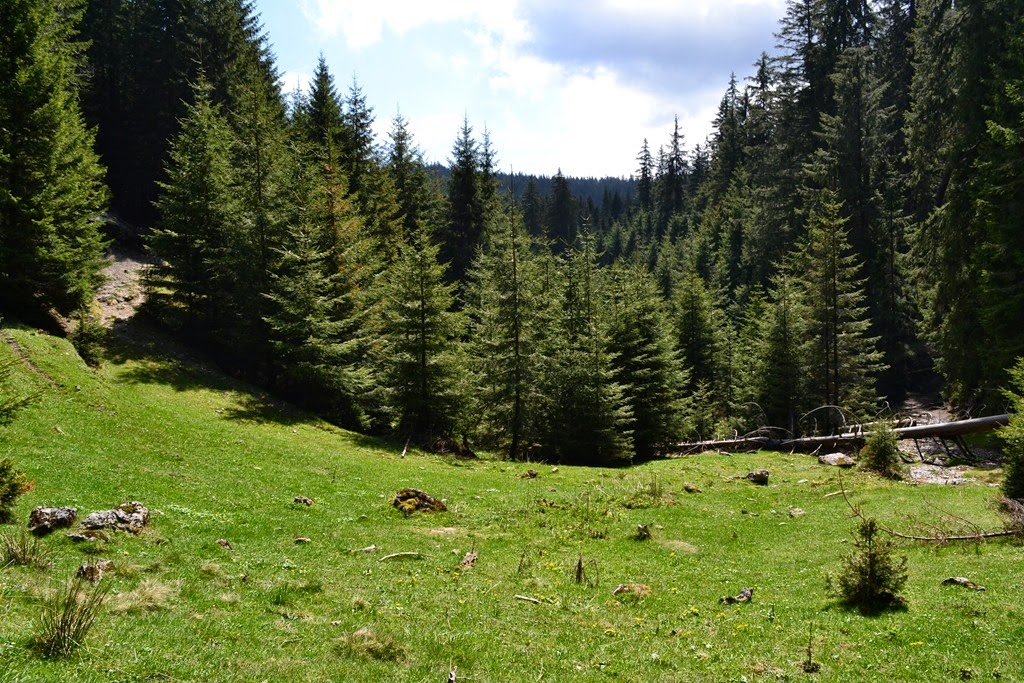 [DSC_80943.jpg]