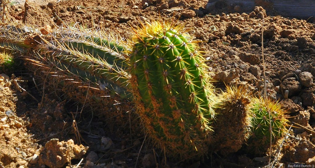 [DSC_0010%255B3%255D.jpg]