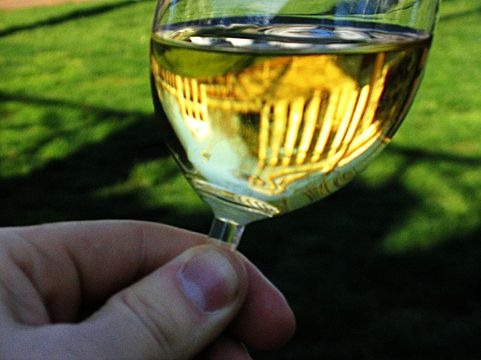 [Chardonnay-UVa%255B4%255D.jpg]