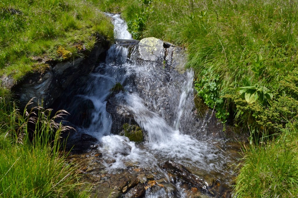[DSC_9436.jpg]