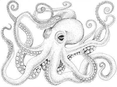 octopusssss print