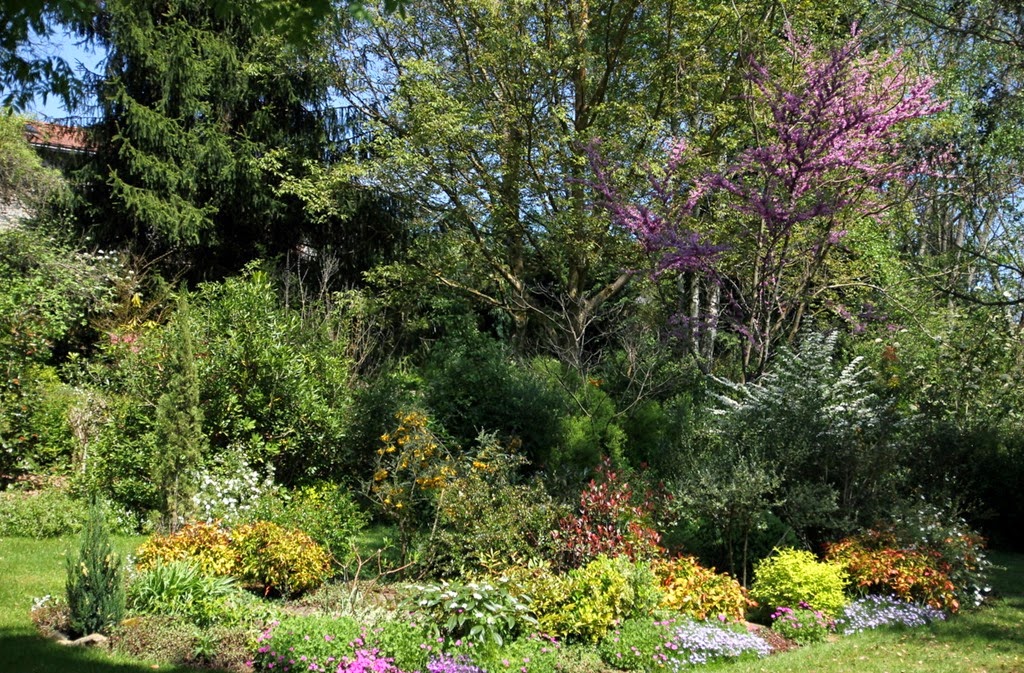 [6-IMG_3467%255B3%255D.jpg]