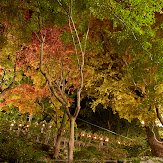 朝護孫子寺,紅葉(PK3_0197,F9,16mm,K3)2014yaotomi_.jpg