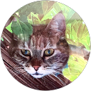 Image Google de Philippe Baudean
